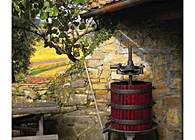 Olive Press