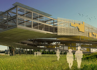 Ballona Wetlands - PTSD Treatment Center