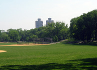 The North Meadow Reconstruction, Central Park