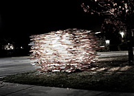 Material Fringe