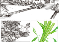Sketches