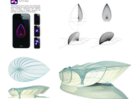 San Francisco Sea Gills : Oceanographic Museum