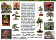 Bonsai Society Conceptual Project