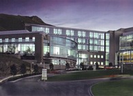 Senior Designer / Job Captain