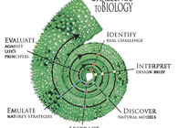 SYMBIOSIS + SUSTANTIBILITY = HABITAT