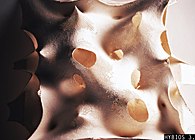 HYBrid BIOStructures