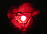 Hanging Rose Lamp
