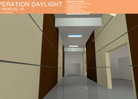 Operation Daylight