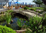Corporate Cafeteria Landscape