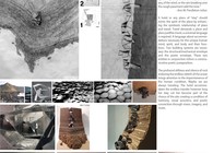 Selected Academic Projects