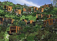 New Leaf Hills
