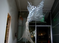 Tensile Parametric Canopy