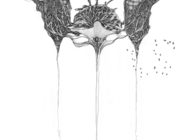 Floating Bhavacakra