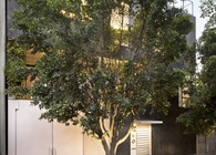 CorManca House
