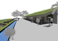 Biomimicry Schools