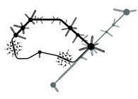 Detailed plan in Visaginas [2009]