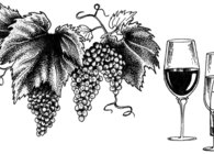 Wine Menu