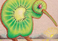 Kiwi, Kiwi