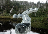 Birth + protozoa to architecture