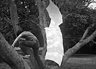 Tree Climber