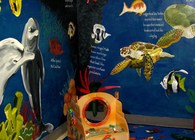 Unity Healthcare's Reach Out and Read Literacy Initiative