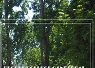 Degree College Ganderbal