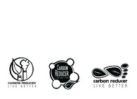 Carbon Reducer: Annual Report