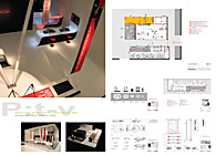 Work Samples - Professional