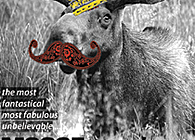 GRAPHIC DESIGN: Posters