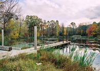 Foote's Pond Wood
