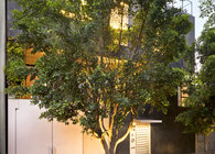 CorManca House