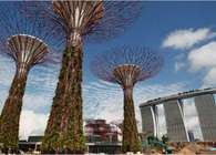 Gardens by the Bay