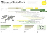 Infographic CV