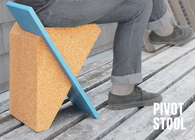 Pivot Stool