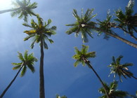 Molokai'i Redevelopment Plan