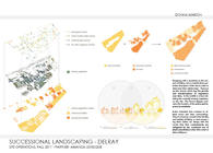 Delray - Successional Landscaping