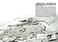 SYNERGIC URBANISM