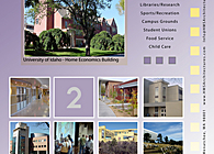Higher Education