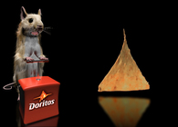 Miscellaneous Animations & Visualizations