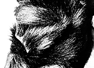 Goat Hide: New Fur Pillows