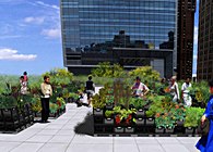 Tom Colicchio’s Riverpark Farm