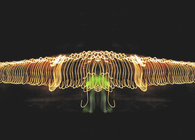 Light Architecture