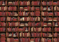 Bookshelf Owl