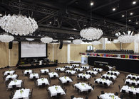 Tivoli Congress Center, Denmark
