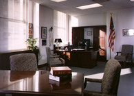 Government