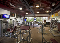 Gym/Fitness center
