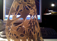 Trophy Design - 2010 World Cup Budweiser Man of the Match
