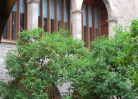 Museum ‘Frederic Marès’