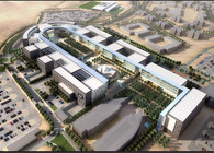 King Saud Bin Abdul-Aziz University for Health Sciences, College of Basic Sciences, 