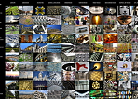 Photography Matrix